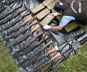 mexican cartel bust