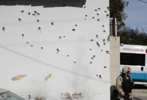 Bullet holes near the U.S.-Mexico border after a shoot out. (AP)