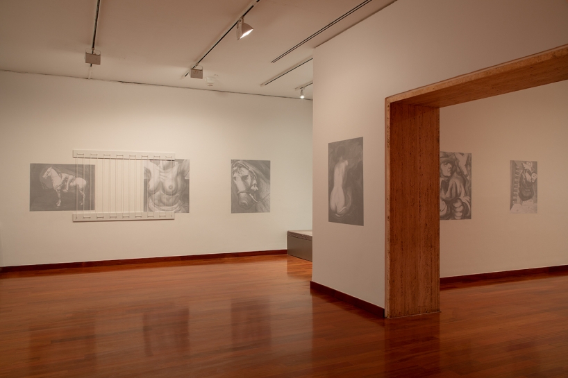 (Image: Alexander Perelli)