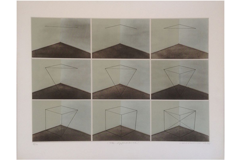 Lydia Okumura, The Appearance, 1975