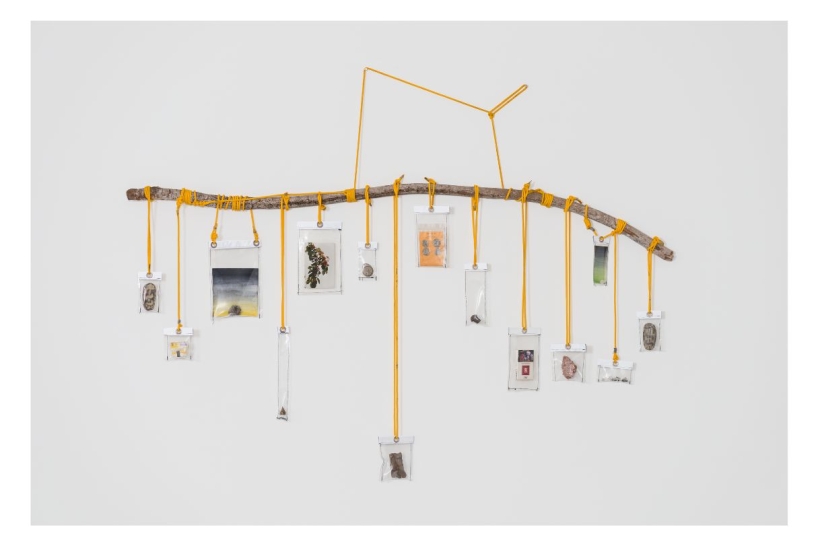 Dan Lie, Memory Stick ou Pau de Memória, 2015